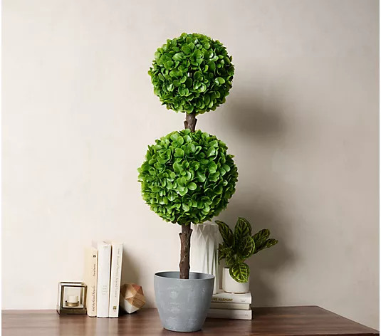 Make Your Selection: Wicker Park 3' Indoor/Outdoor Jade Topiary Tree | QVC