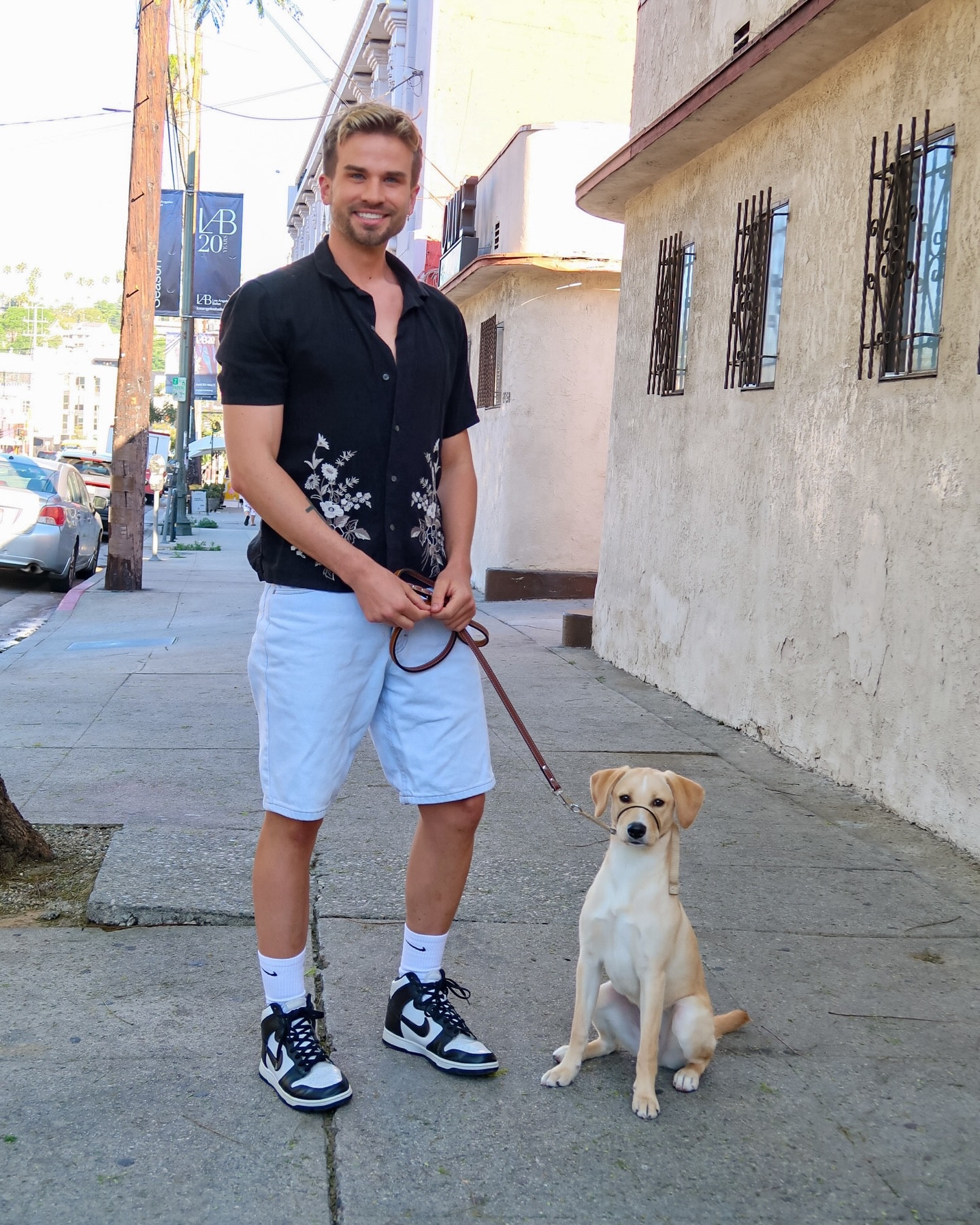 A wonderful week with Penny here for her training vacation 🤍

#boardandtrain #ladogs #puppytraining