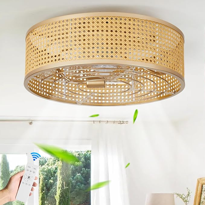 Boho Caged Ceiling Fan with Light, 20'' Rattan Flush Mount Ceiling Fans with Lights and Remote Co... | Amazon (US)