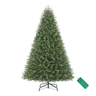 Home Decorators Collection 9 ft. Ashton Balsam Fir LED Christmas Tree 22LE31016 - The Home Depot | The Home Depot