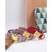 Multiple Color Personalized Dog Collar With Name, Velvet Gold Clasp, Designer Wedding & Leash, For Both Girl Boy | Etsy (US)