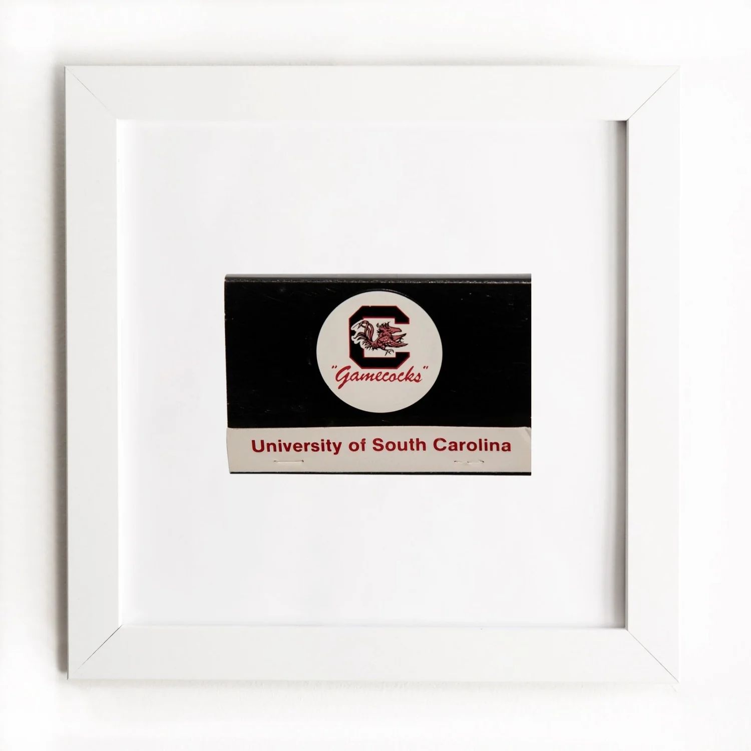 University of South Carolina | Match South