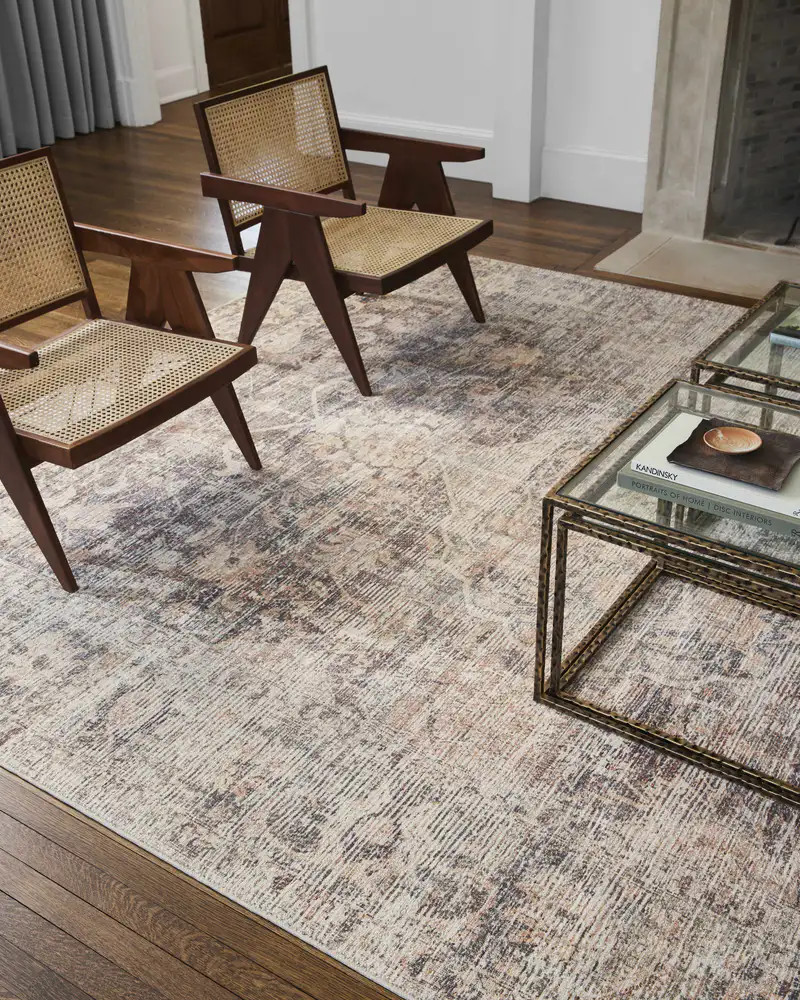 Marlene Medallion Brown Area Rug - Becki Owens x Livabliss | Boutique Rugs