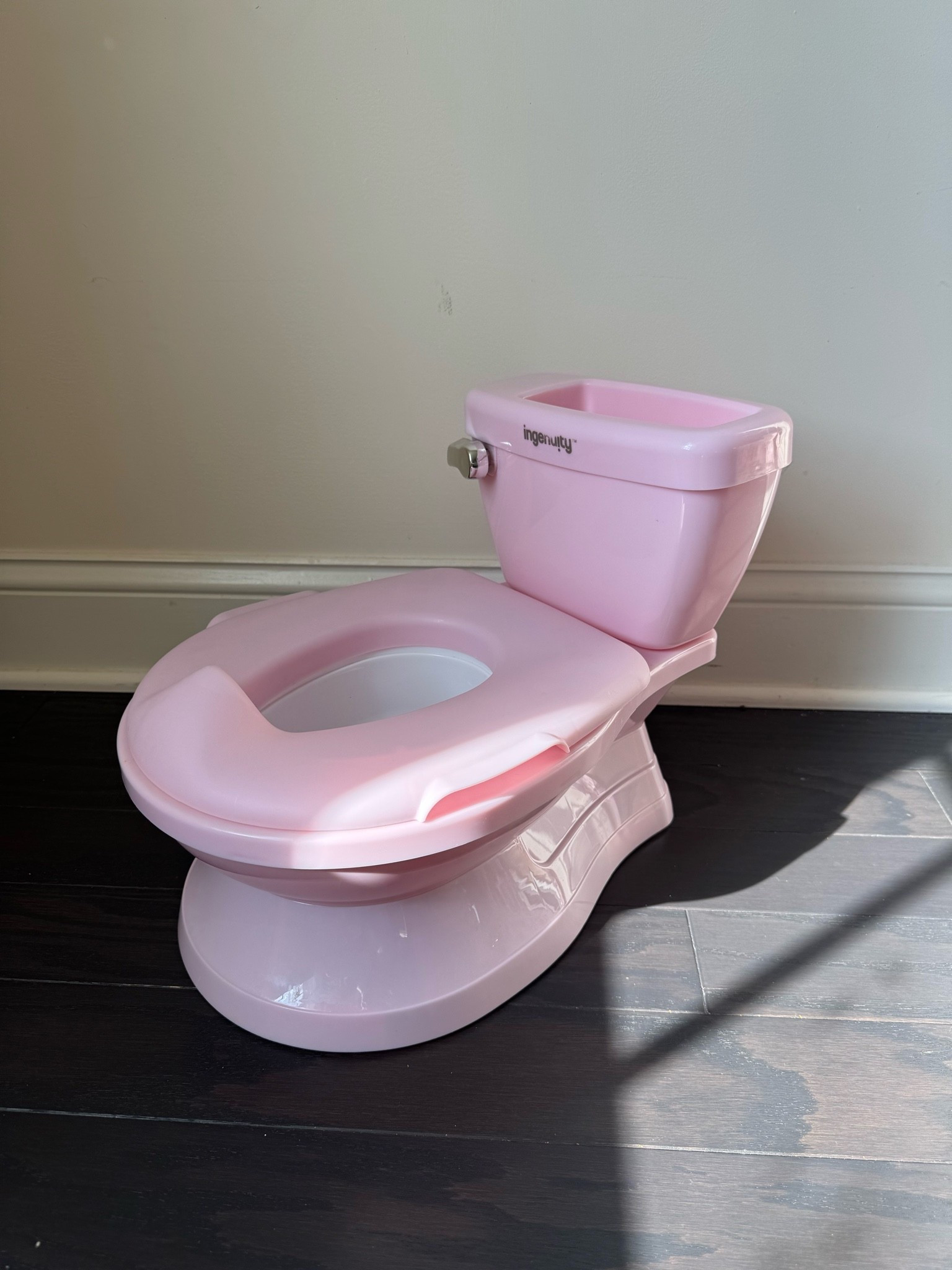Pink princess potty for potty training