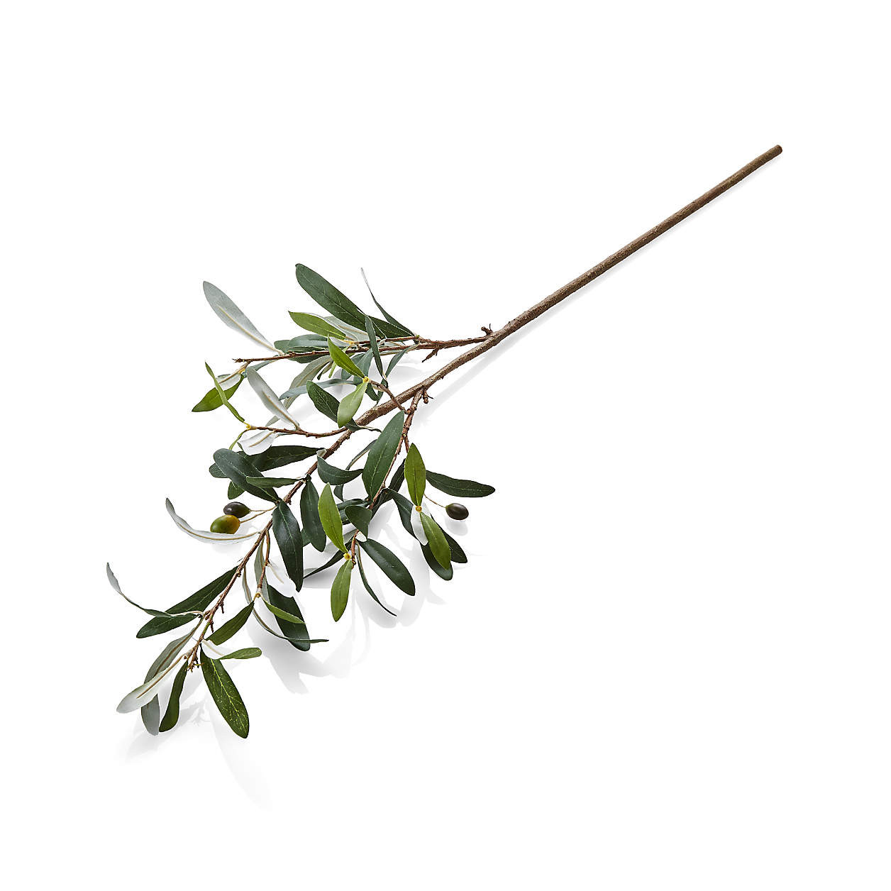 Artificial/Faux Olive Stem + Reviews | Crate and Barrel | Crate & Barrel