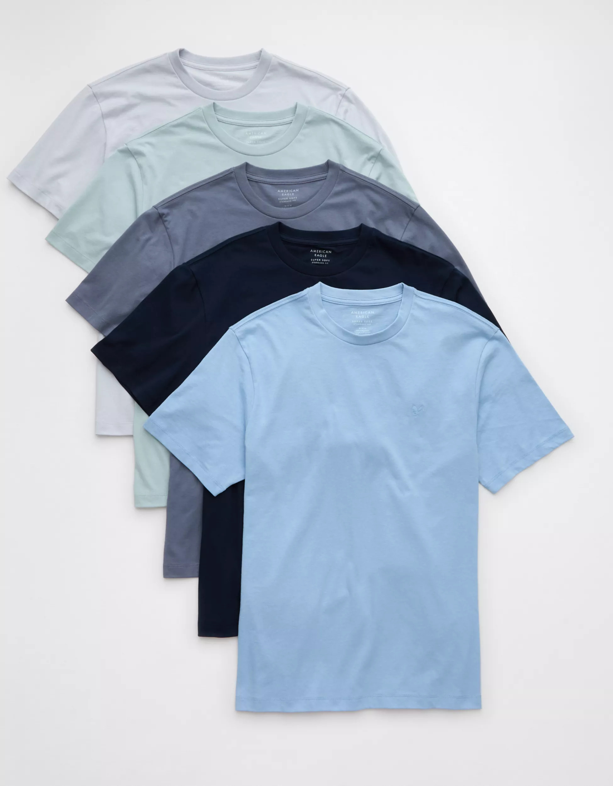 AE Lived-In T-Shirt 5-Pack | American Eagle Outfitters (US & CA)