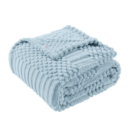 50x70 Inch Blue Throw Blanket - Soft & Fluffy Fleece, Cute & Aesthetic, Perfect for Sofa, Couch, Chair, Bed, Living Room & Bedroom, All-Season Use, Plush & Cozy Decorative Blanket | Amazon (US)