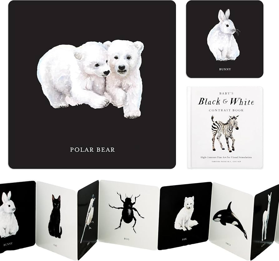 Baby's Black and White Contrast Book: High-Contrast Art for Visual Stimulation at Tummy Time (Tab... | Amazon (US)