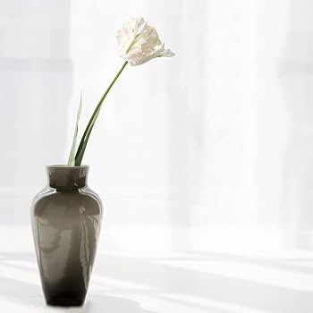 3PCS Artificial Parrot Tulip Flower Stems, White 27 Inch Parrot Tulip Bouquet, Single Head Silk T... | Amazon (CA)