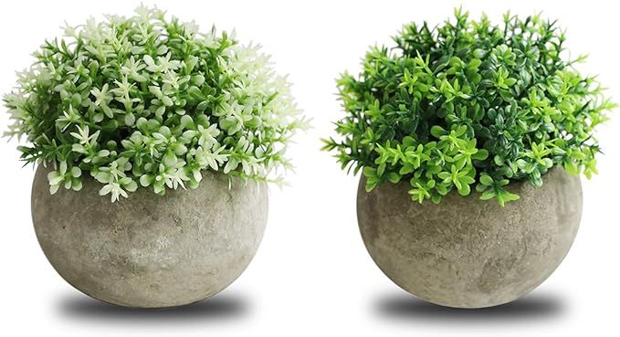 THE BLOOM TIMES 2 Pcs Fake Plant for Bathroom/Home Office Decor, Small Artificial Faux Greenery f... | Amazon (US)