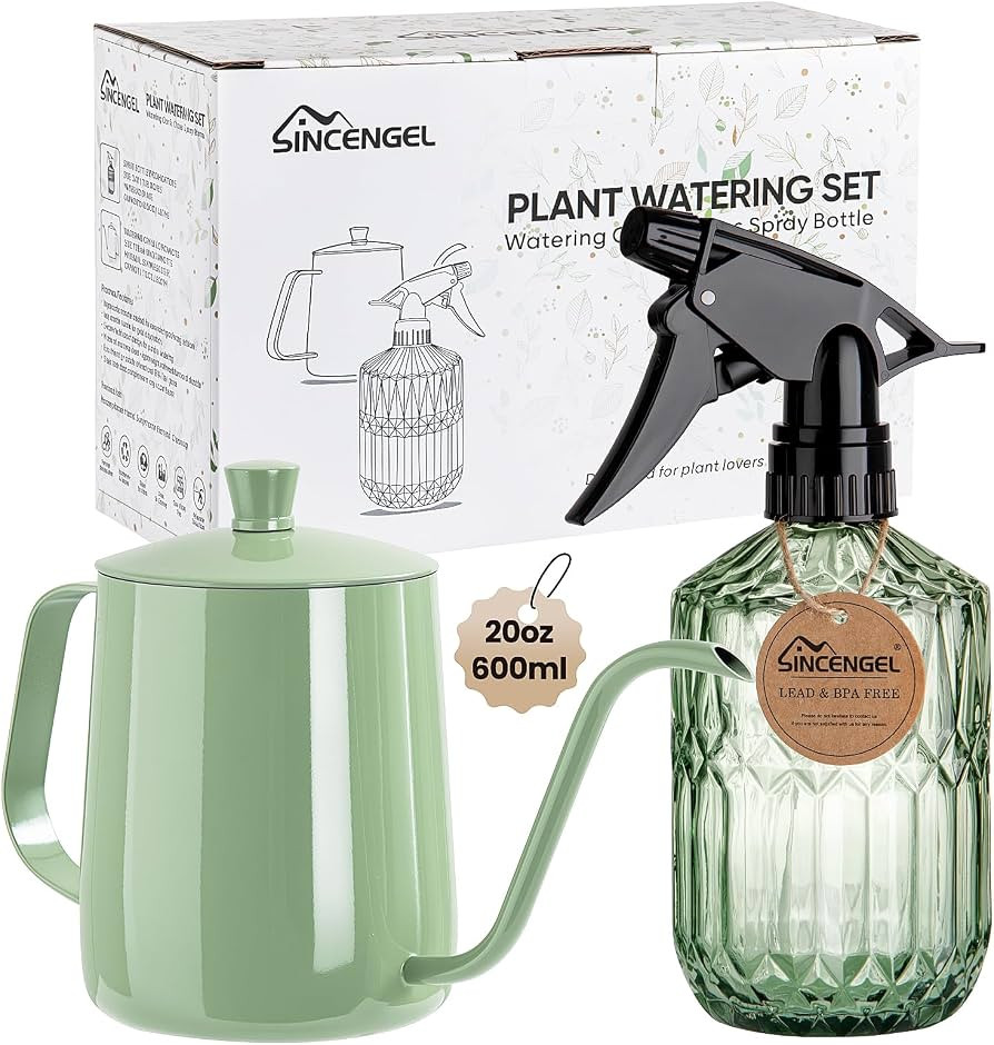 Watering Can for Indoor Plants, 20 oz Metal Small Plant Watering Can with Long Spout for House Pl... | Amazon (US)