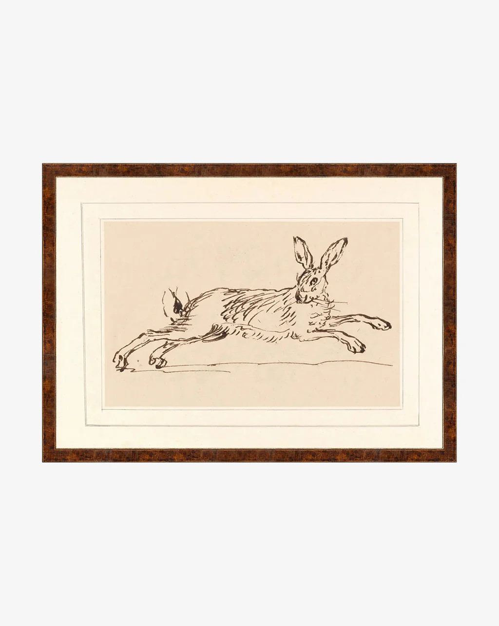 Running Rabbit | McGee & Co.
