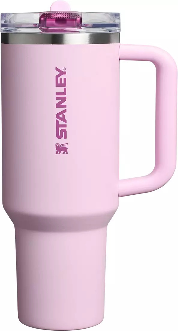 Stanley 40 oz. Quencher ProTour Flip Straw Tumbler | DICK'S Sporting Goods