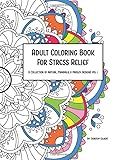 Adult Coloring Book For Stress Relief: A Collection of Nature, Mandala, & Paisley Designs Vol. 1 | Amazon (US)