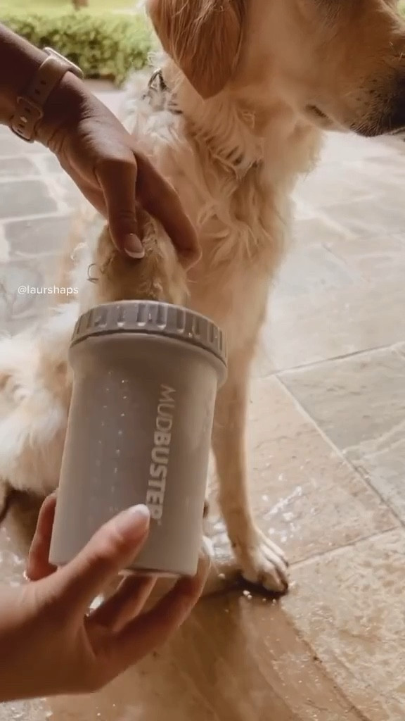 Amazon finds
Amazon pets
Pet finds 


#LTKVideo #LTKfindsunder50 #LTKhome