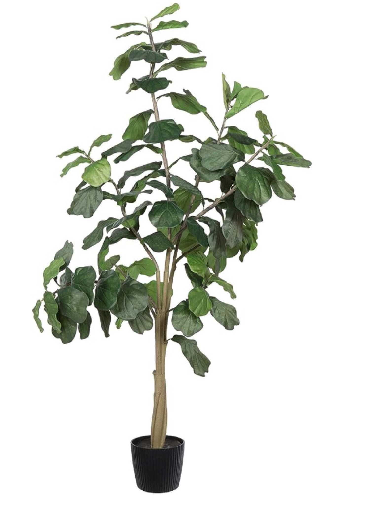 Faux Fiddle Leaf Tree
Home Decor
Amazon Finds 

#LTKSale #LTKhome