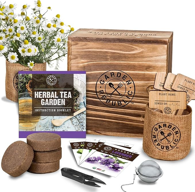 Indoor Herb Garden Seed Starter Kit - Organic Herbal Tea Growing Kits, Grow Medicinal Herbs Indoo... | Amazon (US)