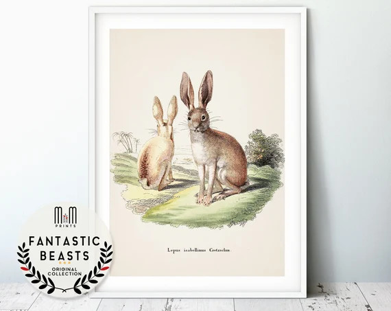 MixAndMatchPrints | Etsy (US)