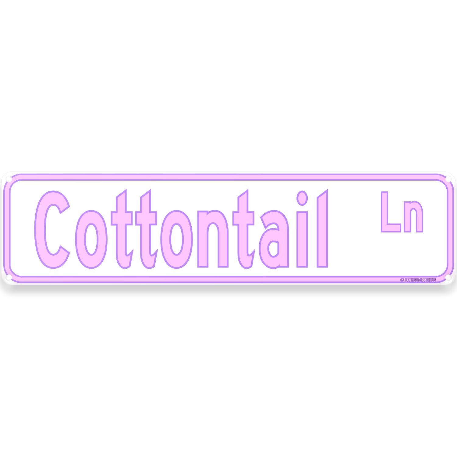Cottontail Lane Easter Theme 16" x 4" Tin Street Sign Easter Sunday Theme Cute Pastel Home Decor ... | Amazon (US)