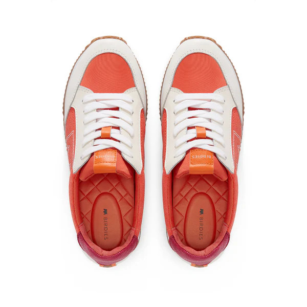 the roadrunner | BIRDIES