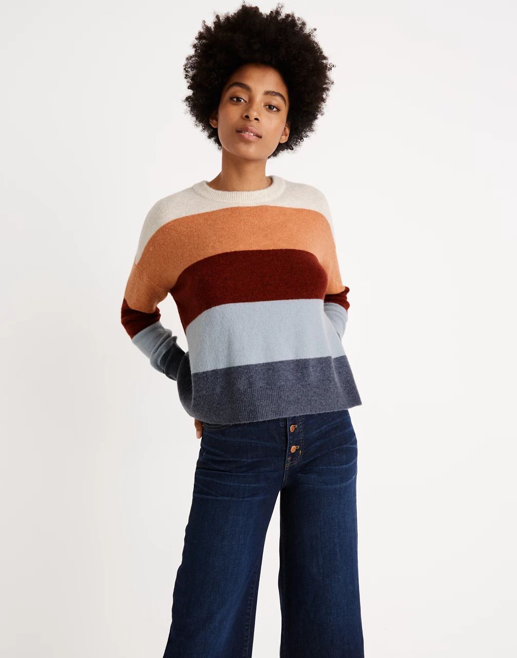 Crofton Striped Pullover Sweater in Coziest Yarn | Madewell