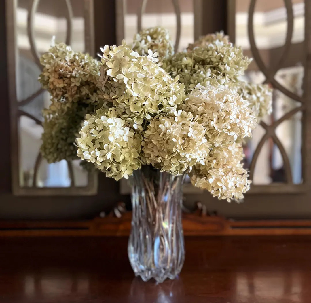 Dried Limelight Hydrangea Blooms | Natural Green-cream-pink Florals for Crafts, Weddings & Home D... | Etsy (US)