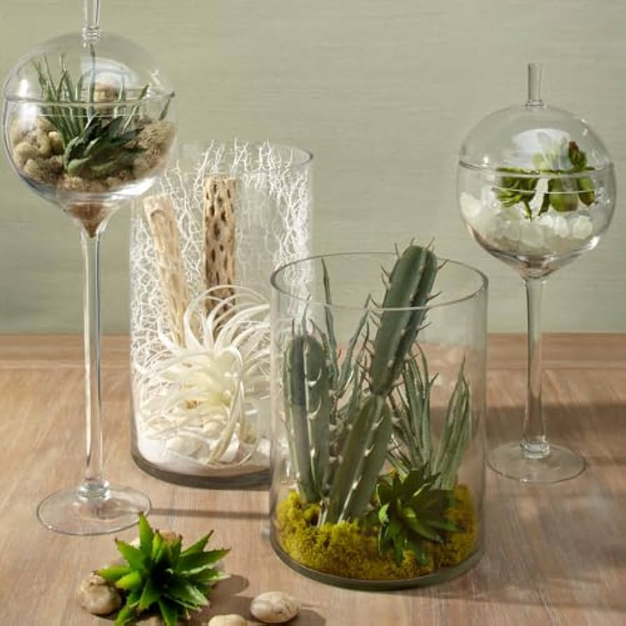 Z Gallerie Jules Glass Cloche, Hand-Blown Glasses Display Dome for Decorative Showcase Elegant Te... | Amazon (US)