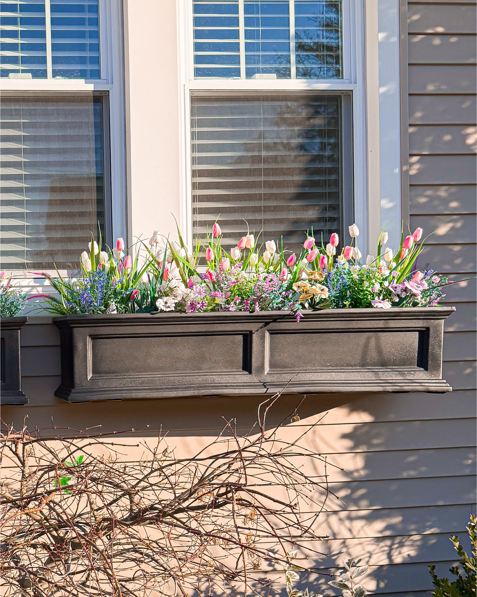 Update your front porch and window boxes with these UV resistant flowers! They come in so many colors! 

#LTKSeasonal #LTKHome