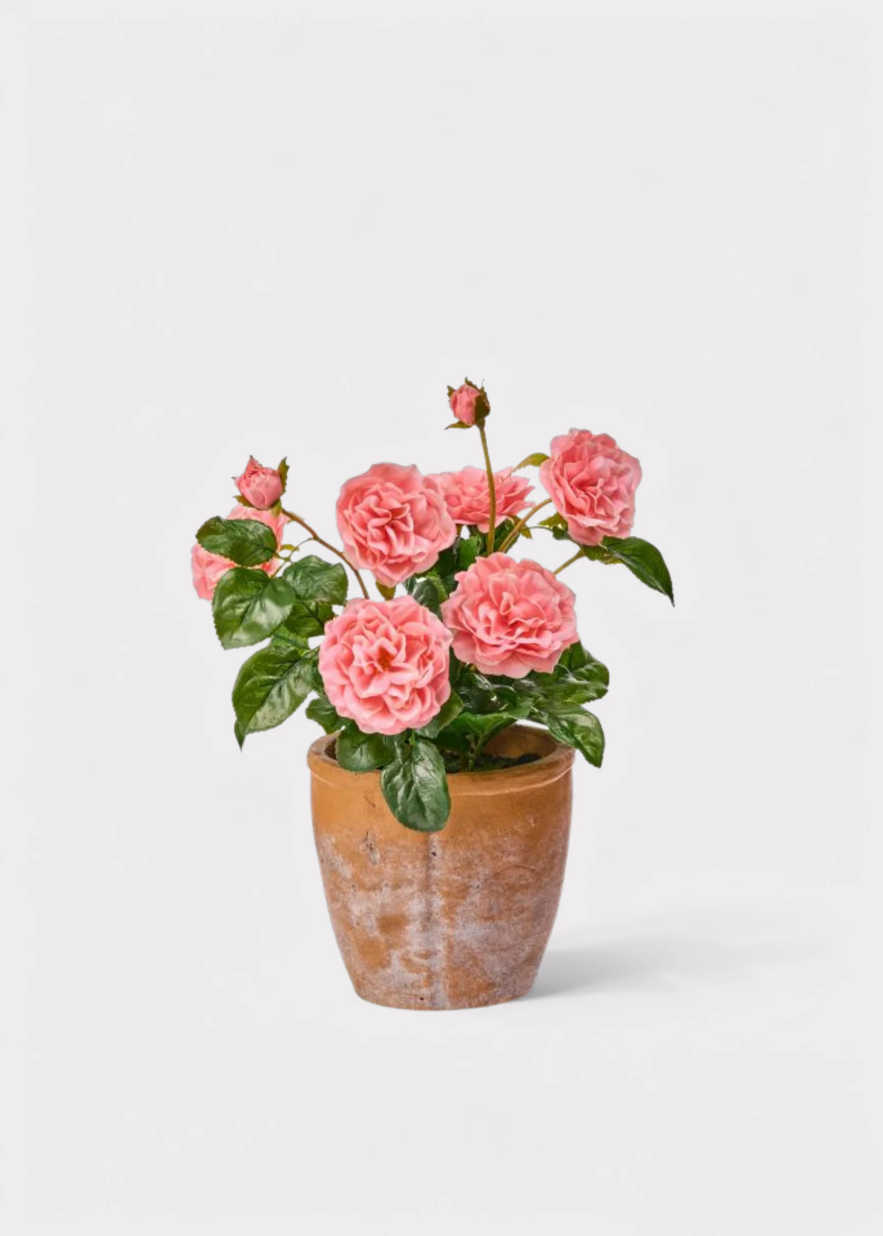 Pink Potted Rose Plant | UV Treated Outdoor Fake Flowers | Afloral | Afloral