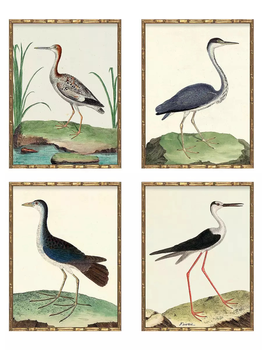 "Vintage Birds" in Bamboo Frame - Set of Four I (Birds I, III, IV, V)  by Whalebone Creek Prints | Serena and Lily