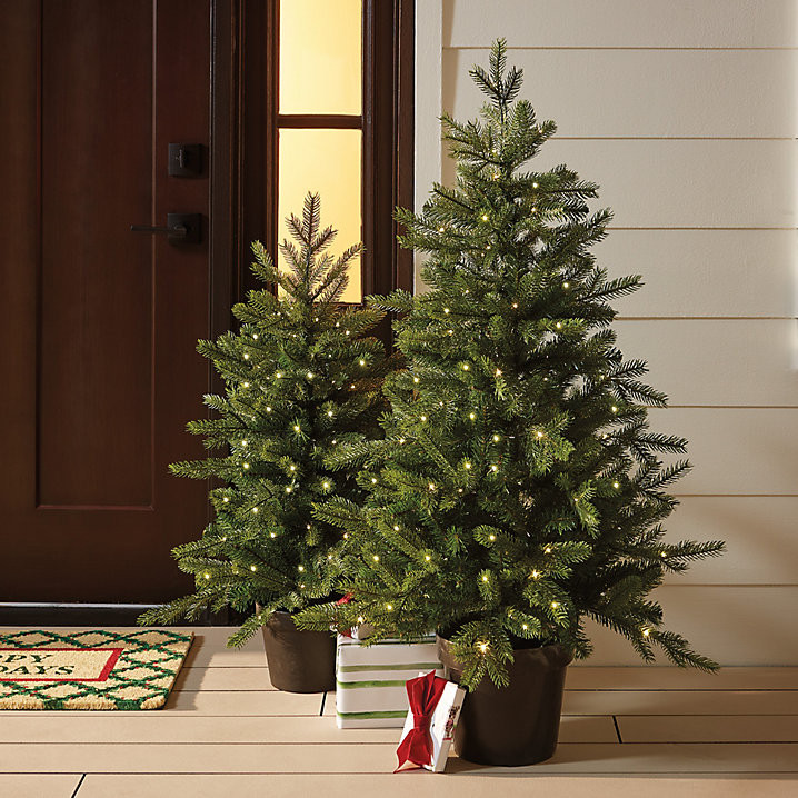 Prelit Grandis Fir Potted Tree with Micro LED Lights & 8 Function Controller | Ballard Designs, Inc.