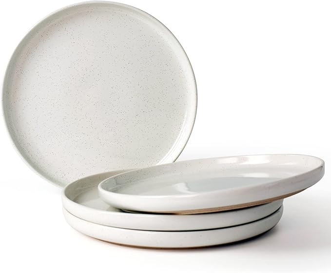 Famiware Milkyway Dinner Plate, 10 inch Plates for 4, Plate Set, Scratch Resistant, Stoneware Din... | Amazon (US)