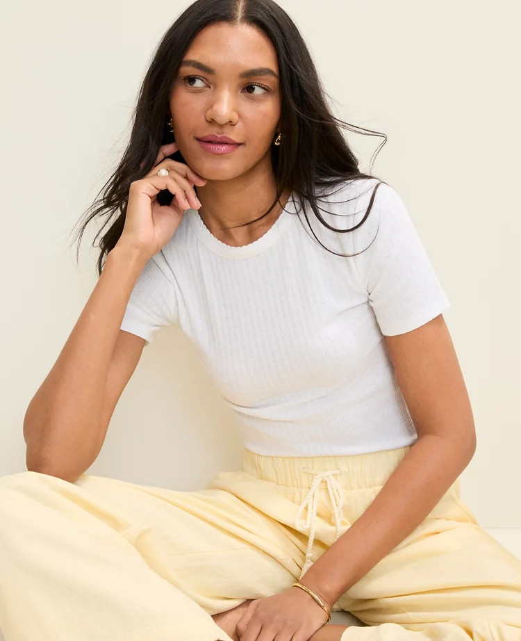Weekend Pointelle Crew Neck Tee | Ann Taylor