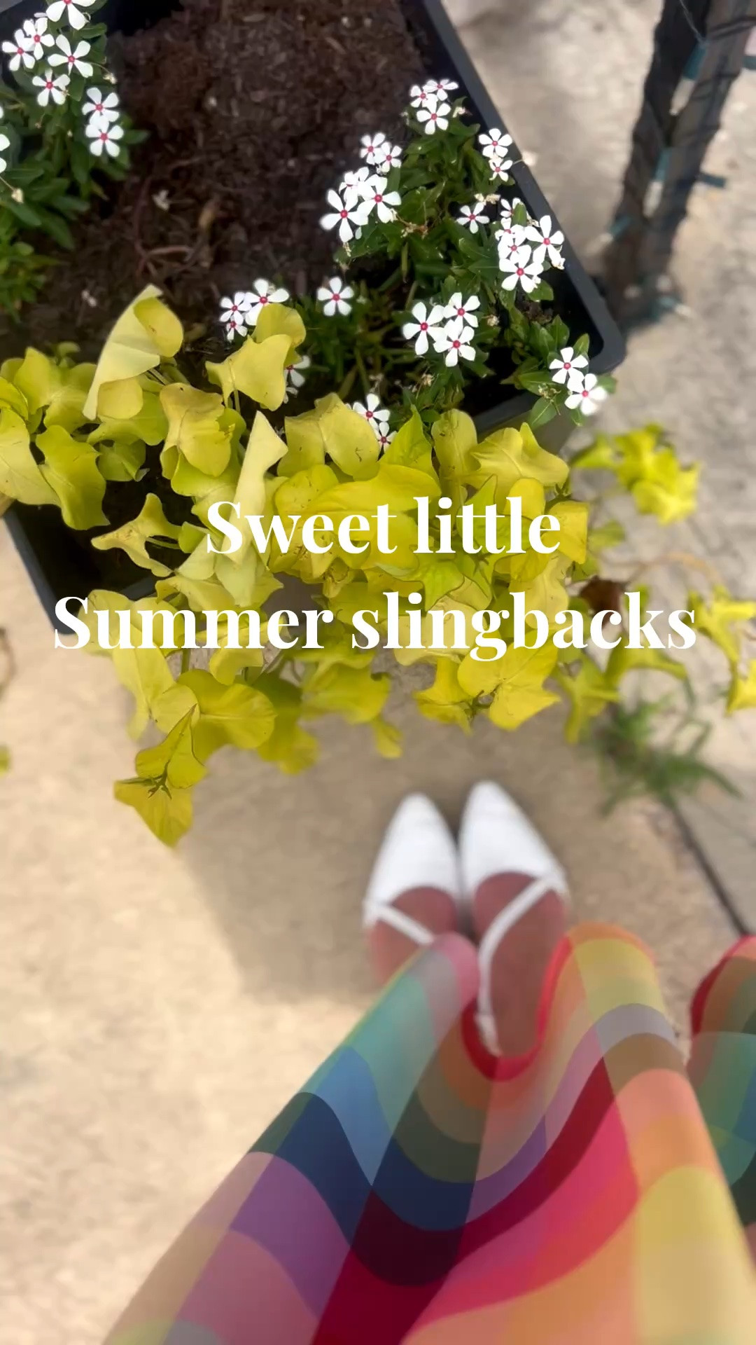 Dress an outfit up without sacrificing comfort in a pair of flat slingbacks. Classic and polished without being frumpy or outdated! I rounded up a lovely selection that are chic and comfortable.

#LTKootd #LTKSaleAlert #LTKgrwm
