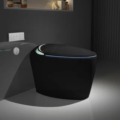 Unique Smart Bidet Toilet in Black with Auto Open/Close and Side Touch Buttons | Wayfair North America
