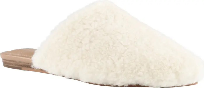 Sabrinna Genuine Shearling Mule | Nordstrom