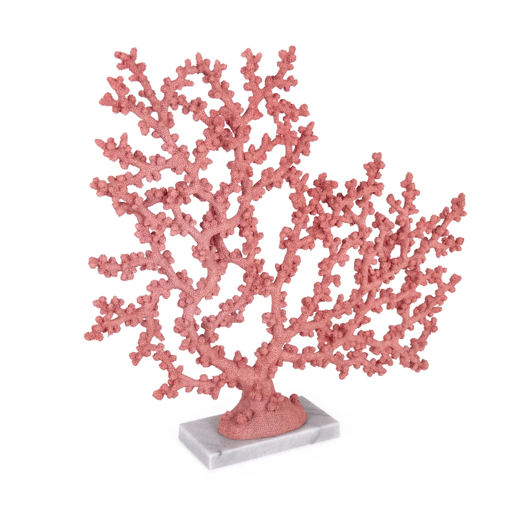 Coral Accent Décor | Perigold