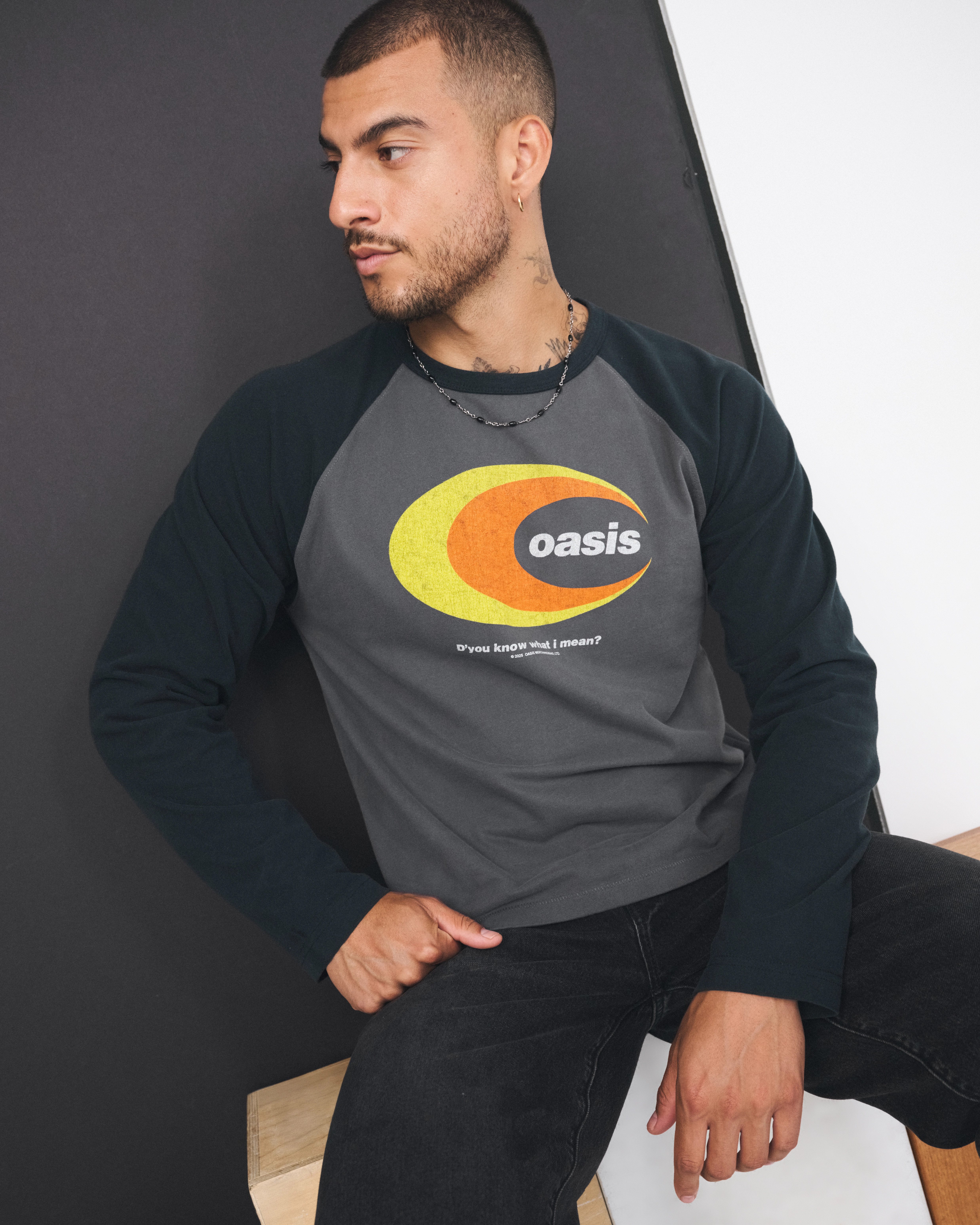 Oasis Long-Sleeve Premium Heavyweight Tee | Abercrombie & Fitch (US)