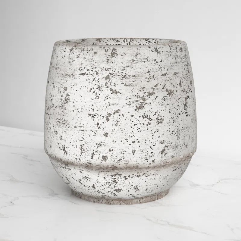 Camryn Cement Pot Planter | Wayfair North America