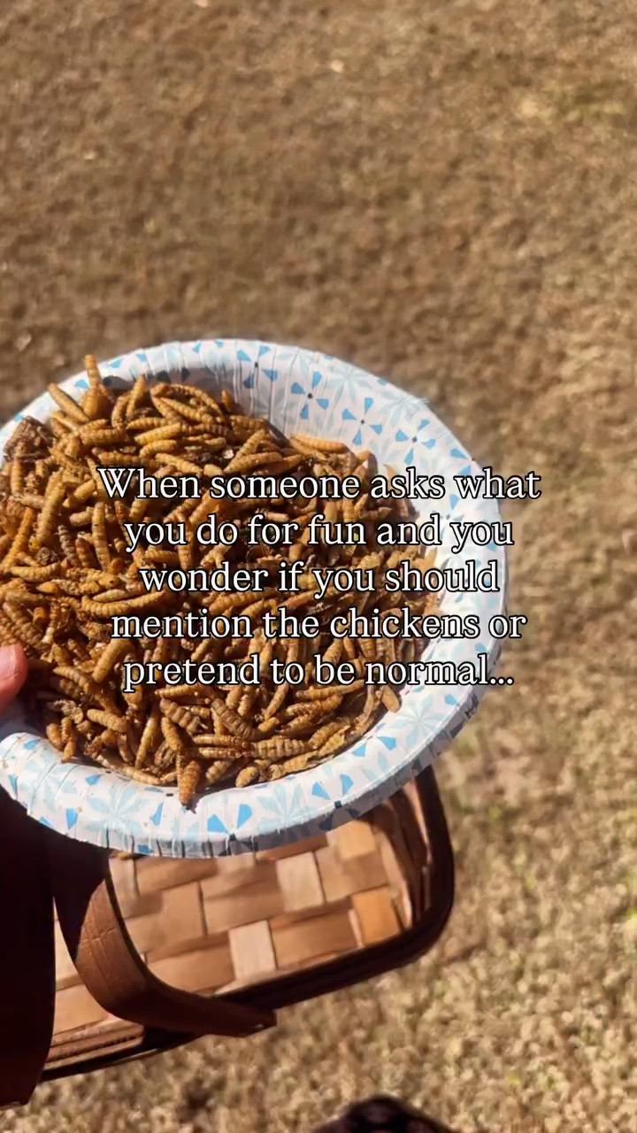 Decisions…. 🤔😂♥️🐓

#ChickenMama #FarmLife

#LTKdayinmylife #LTKmomlife #LTKHome