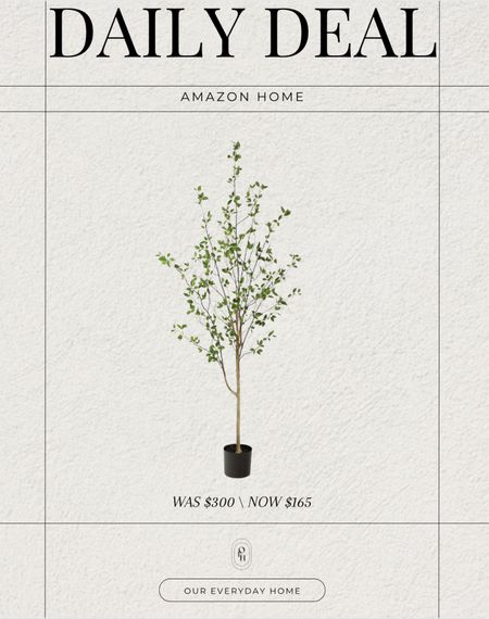 Todays Amazon Daily Deal is this beautiful minimalist citrus tree! 

#LTKsalealert #LTKSeasonal #LTKhome