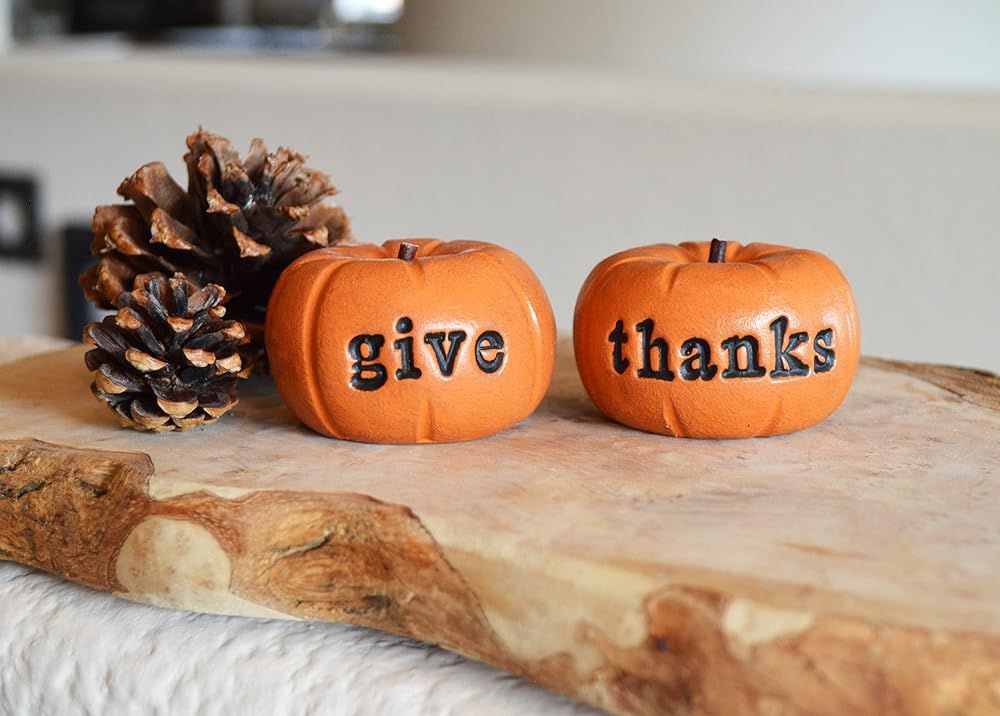 Thanksgiving orange give thanks pumpkins farmhouse rustic barn decor gift/vintage give thanks pre... | Amazon (US)