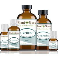 Cypress Essential Oil 100% Pure Natural Therapeutic Grade, Cupressus Sempervirens, Bulk Wholesale For Skin, Soap Making, Candle & Diffuser | Etsy (US)