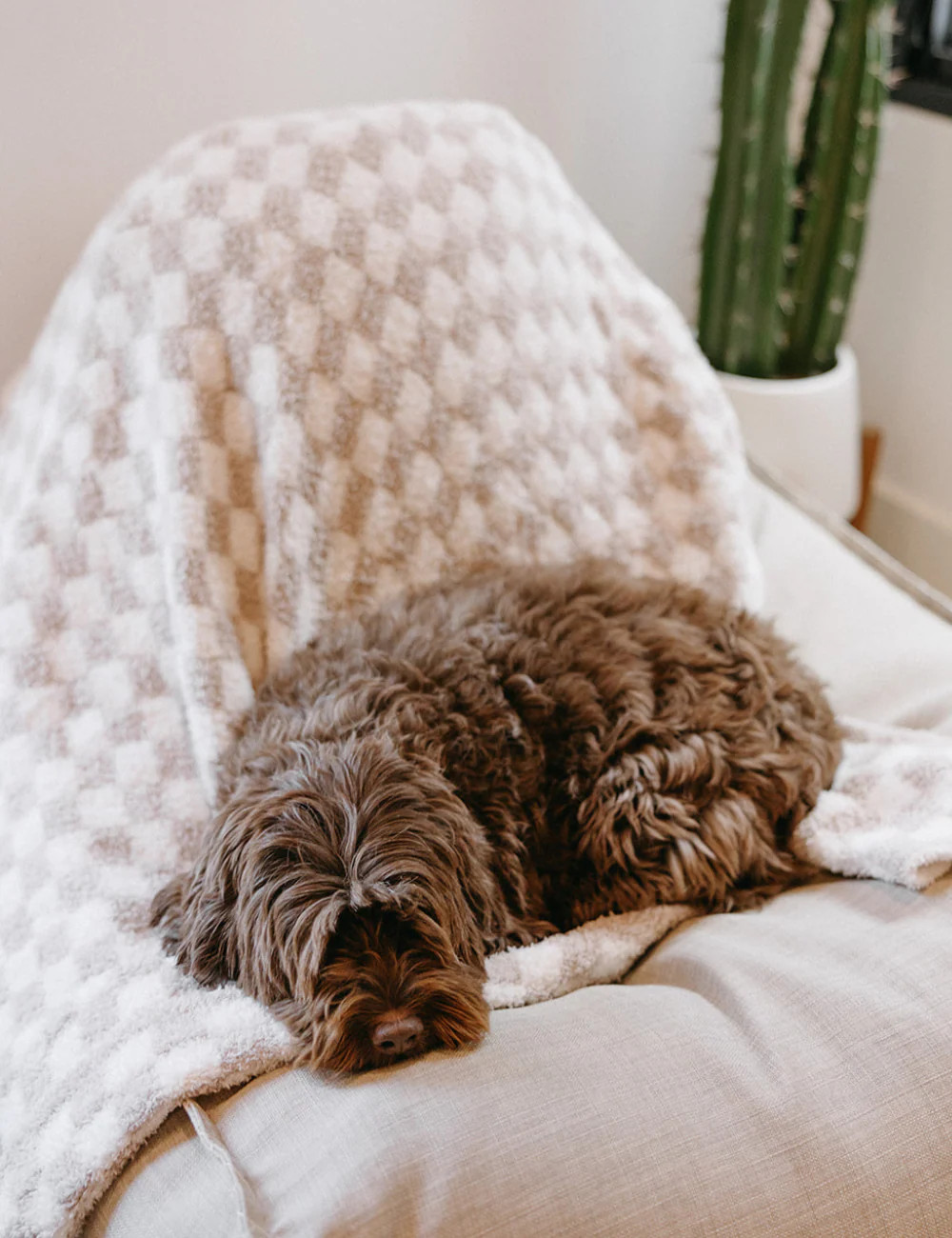TSC x Madi Nelson: Mini Checkered Full Size Buttery Blankets | The Styled Collection