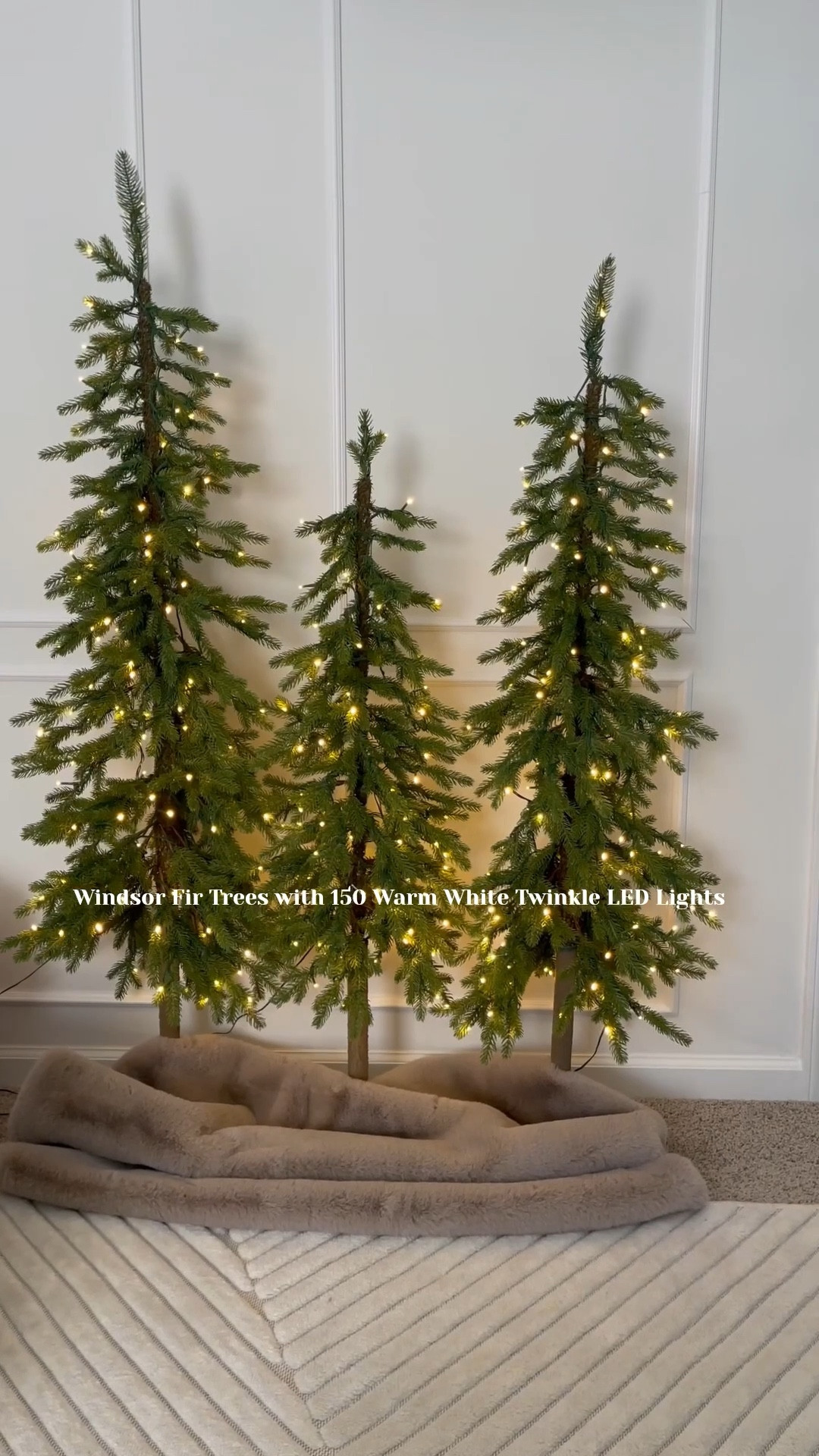 Windsor Fir Trees set with 150 Warm White Twinkle LED Lights.

I love this King of Christmas find. #kingofchristmas  

#LTKHome #LTKSeasonal #LTKHoliday