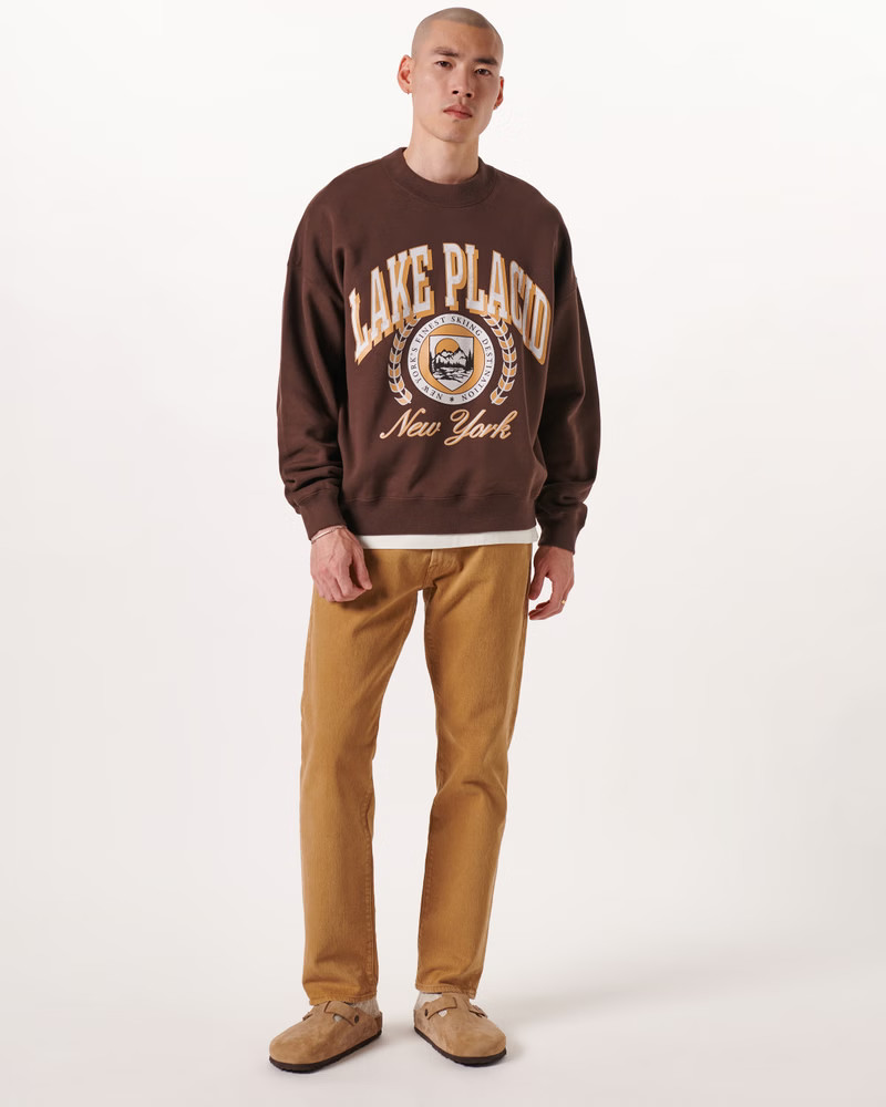 Ski Graphic Crew Sweatshirt | Abercrombie & Fitch (US)