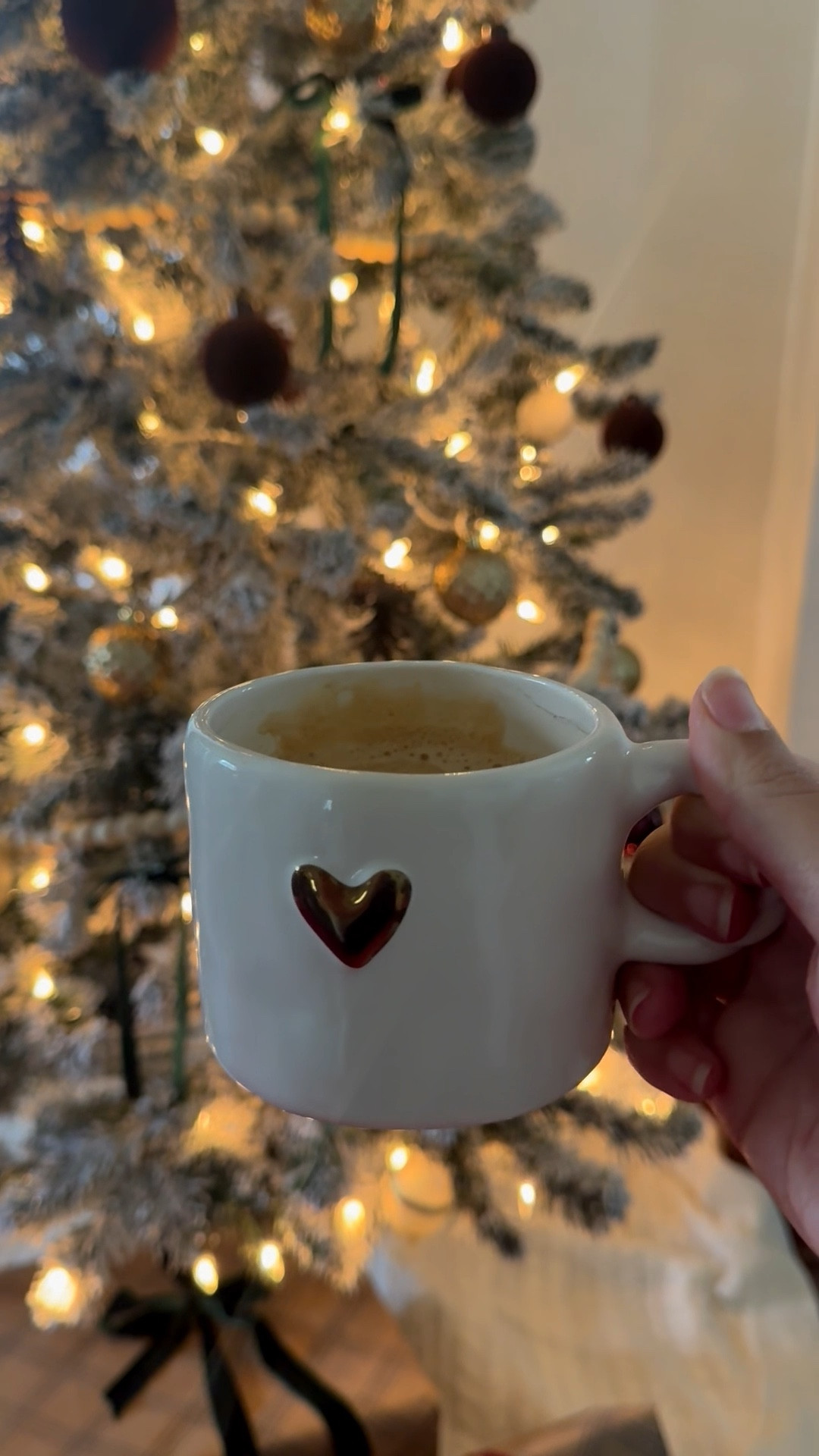 Coffee by the Christmas Treee

#LTKmorningroutine #LTKHoliday #LTKSeasonal
