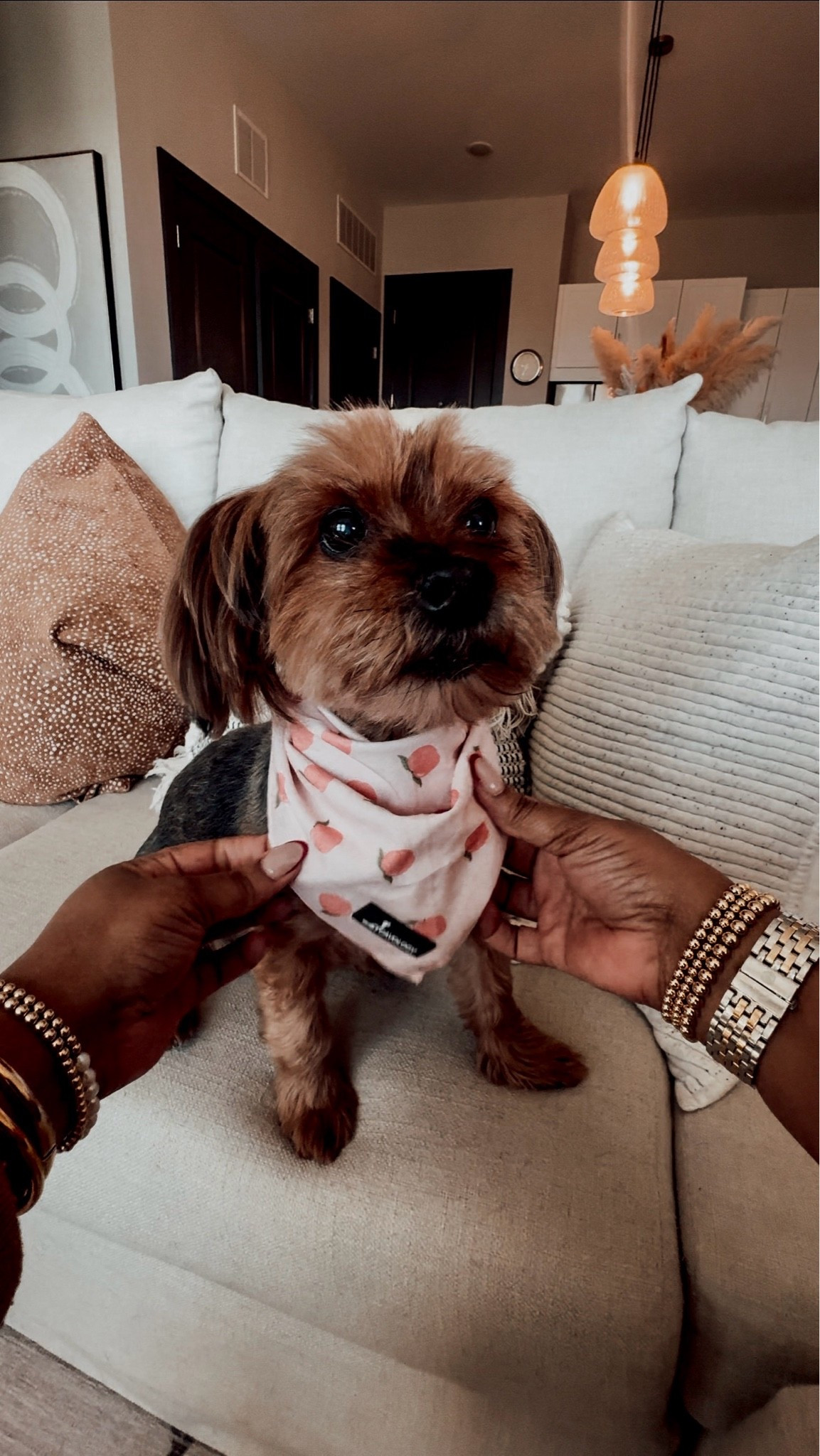 Dog Bandanas for Summer

Scroll to shop. 

#LTKPet

#LTKHome #LTKSeasonal