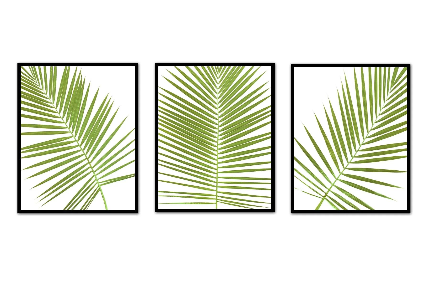 Palm Frond Trio | Urban Garden Prints