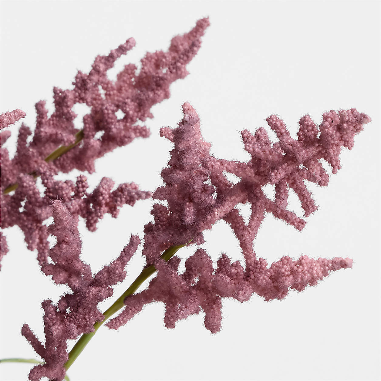 Faux Mauve Astilbes Stem 40.5" | Crate & Barrel | Crate & Barrel